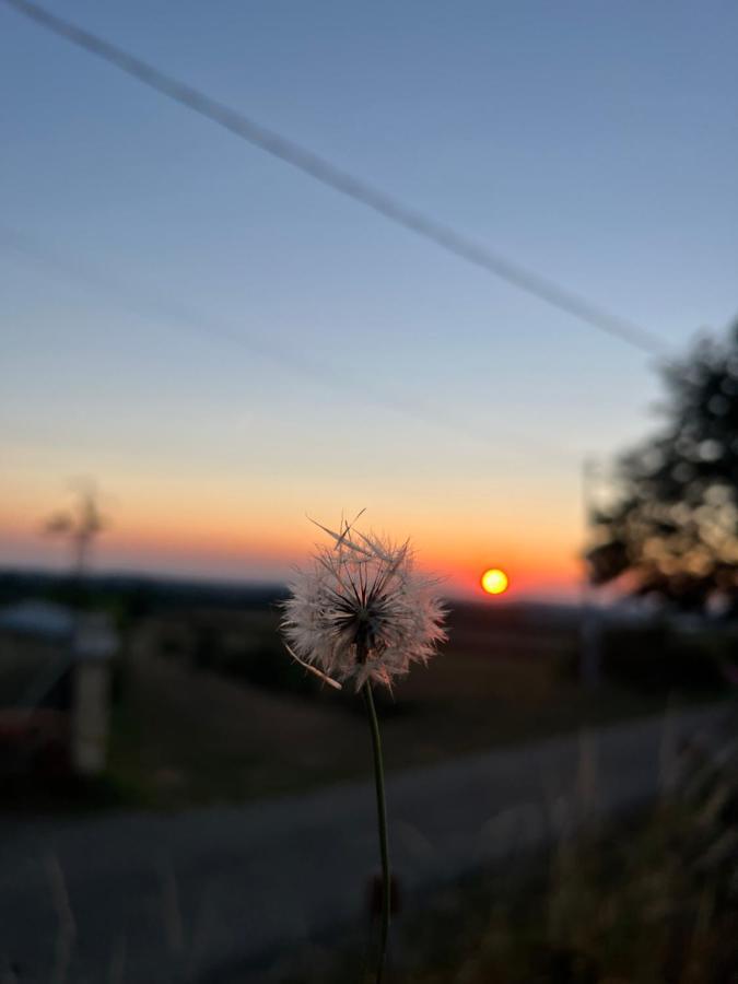 Tout Au Bout Du Chemin Requista Exterior photo